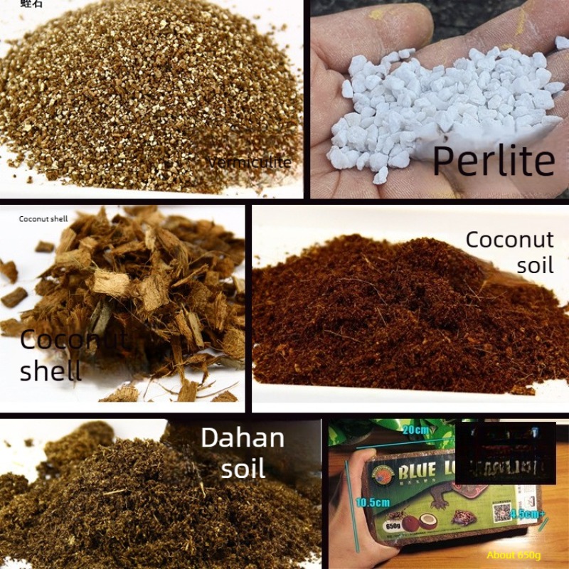 Sphagnum Moss Dry - Briques de fibre de coco pour
