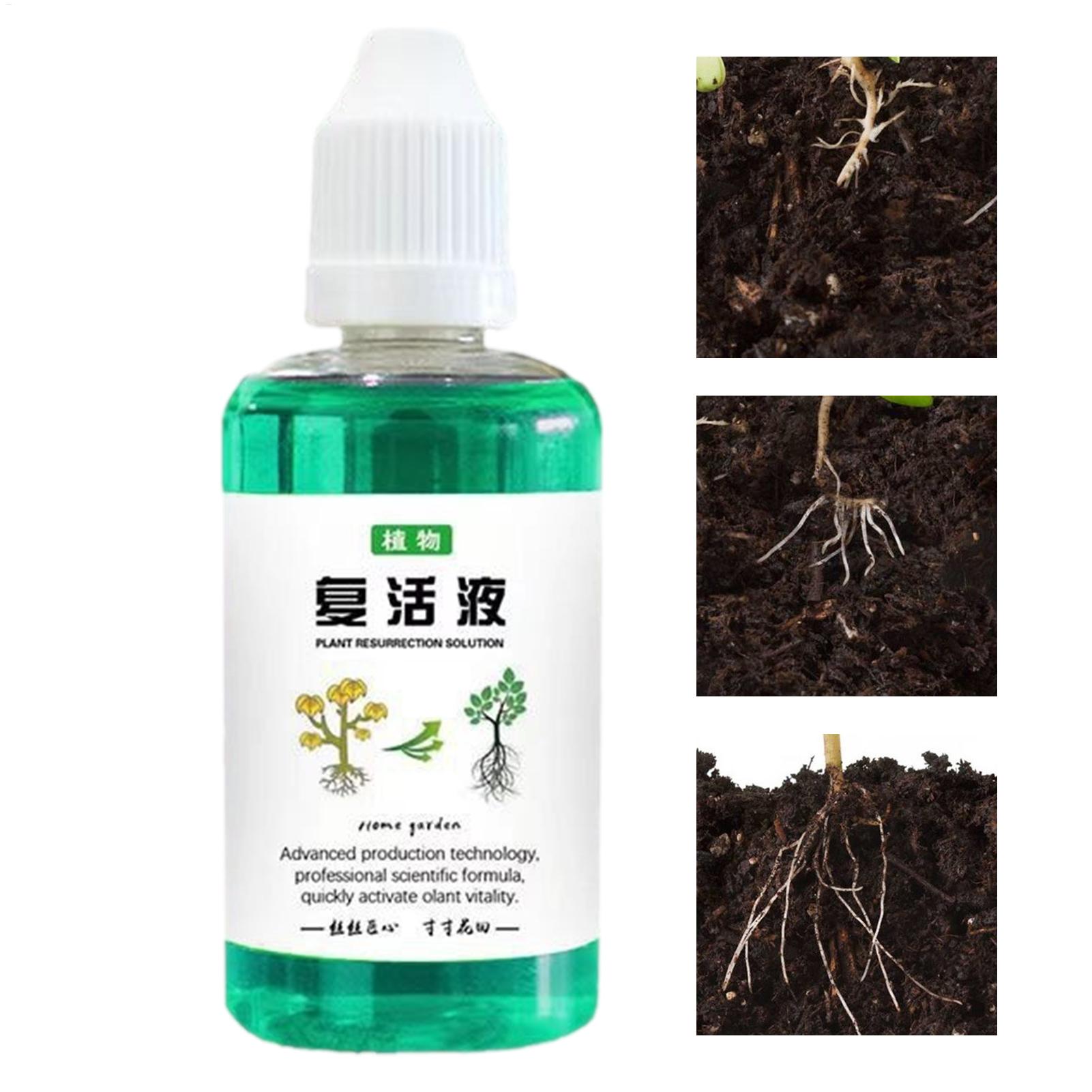 Root Stimulator Liquid - Stimulateur de racines 50 ml, liquide