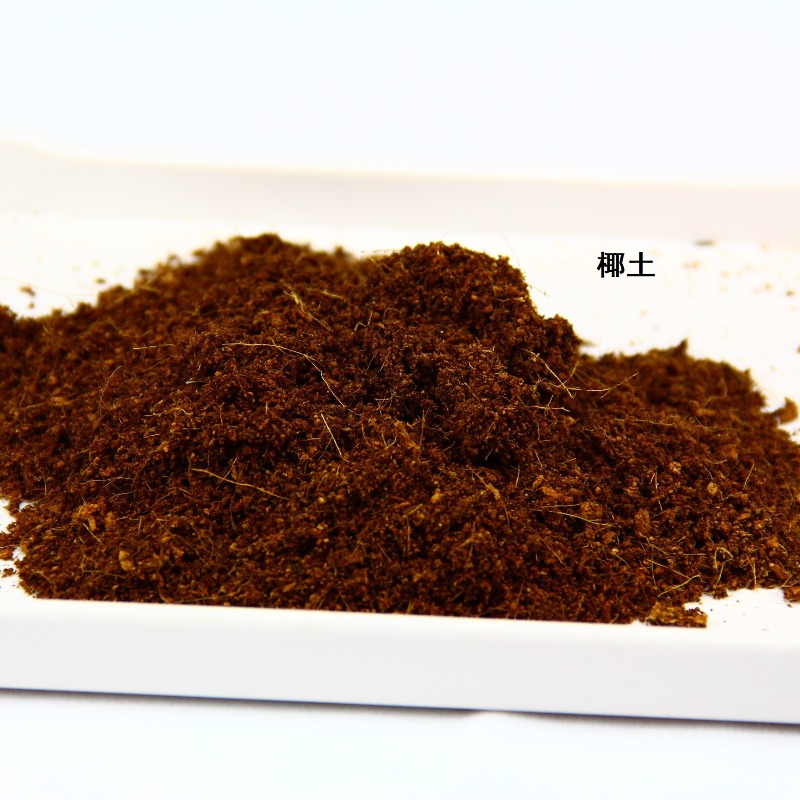 Briques de fibre de coco pour  - Sphagnum Moss Dry avis et prix