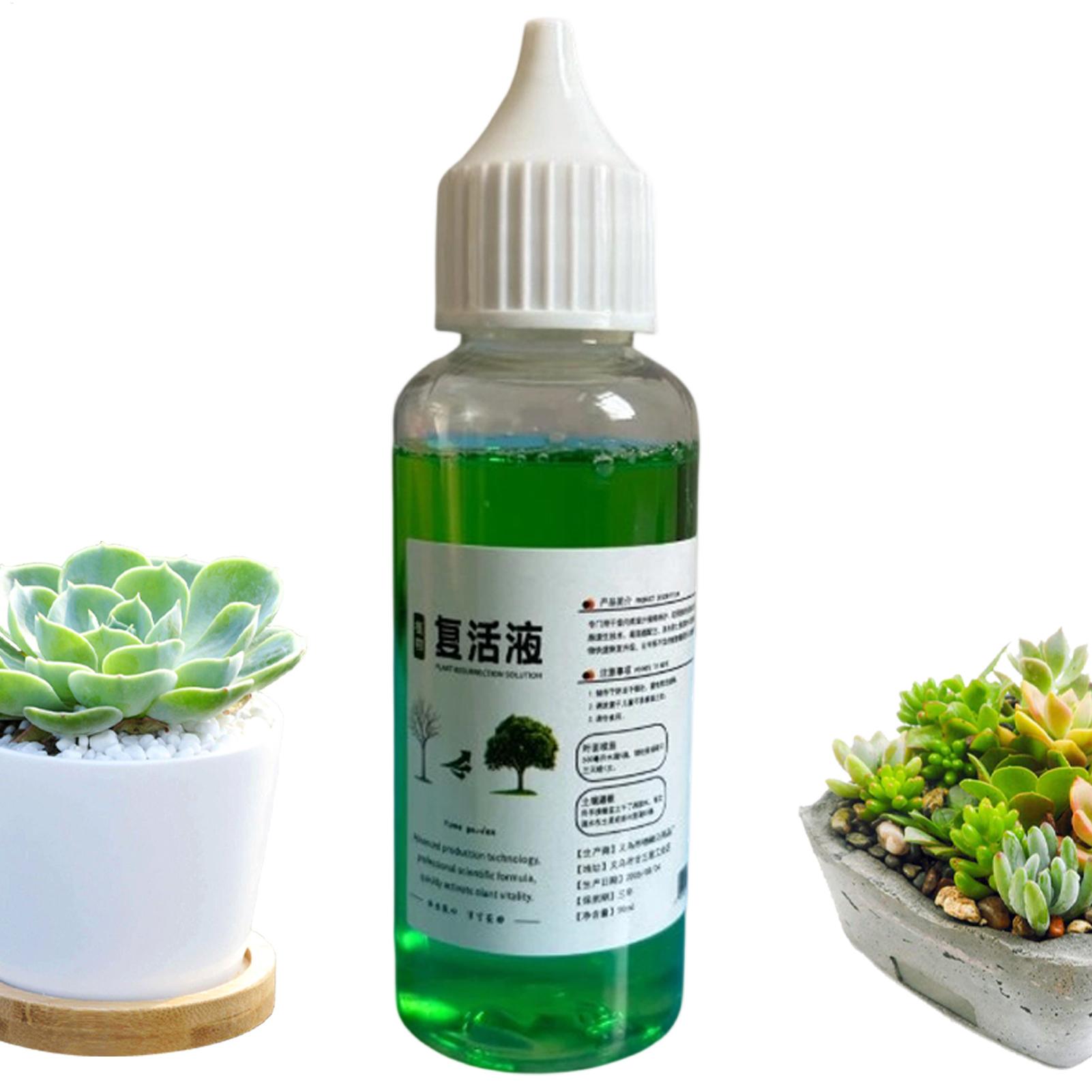 Stimulateur de racines pour pl - Root Stimulator Liquid avis et prix