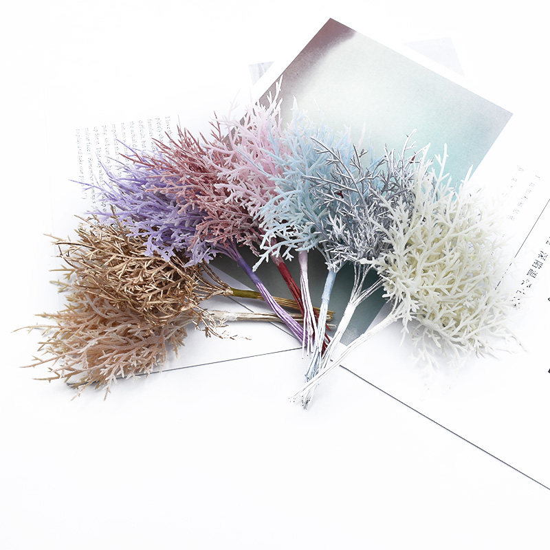 Couronnes de fleurs décorative - Sphagnum Moss Dry avis et prix