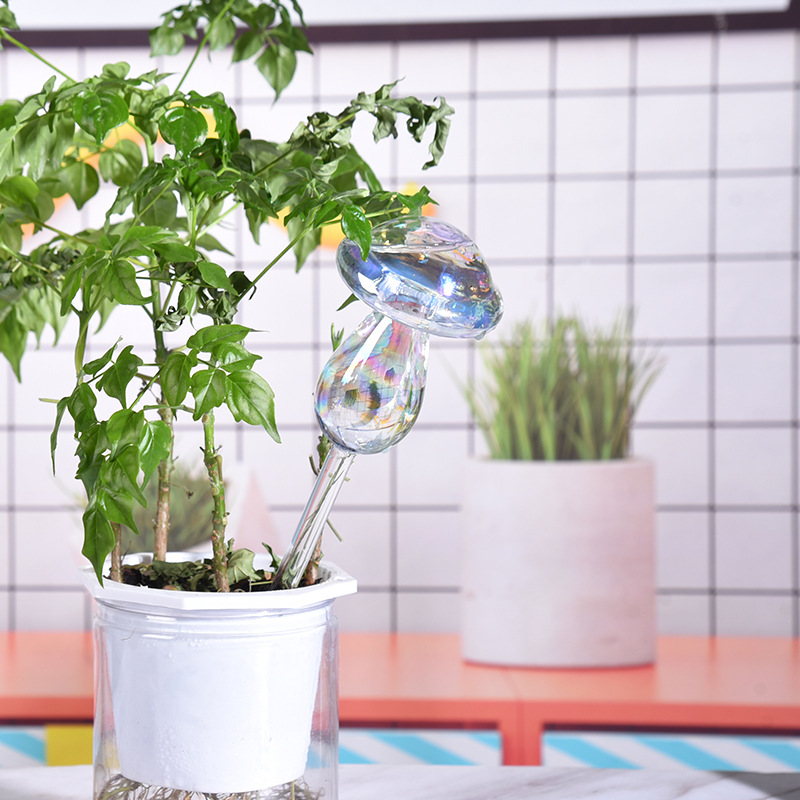 Ampoules d'arrosage automatiqu - Self Watering Insert avis et prix