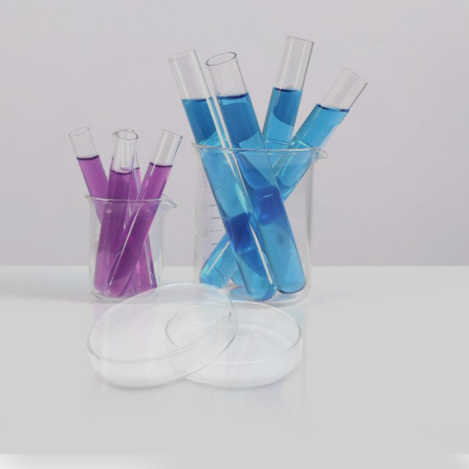 Boîte de Pétri en verre borosi - Agar Tissue Culture avis et prix