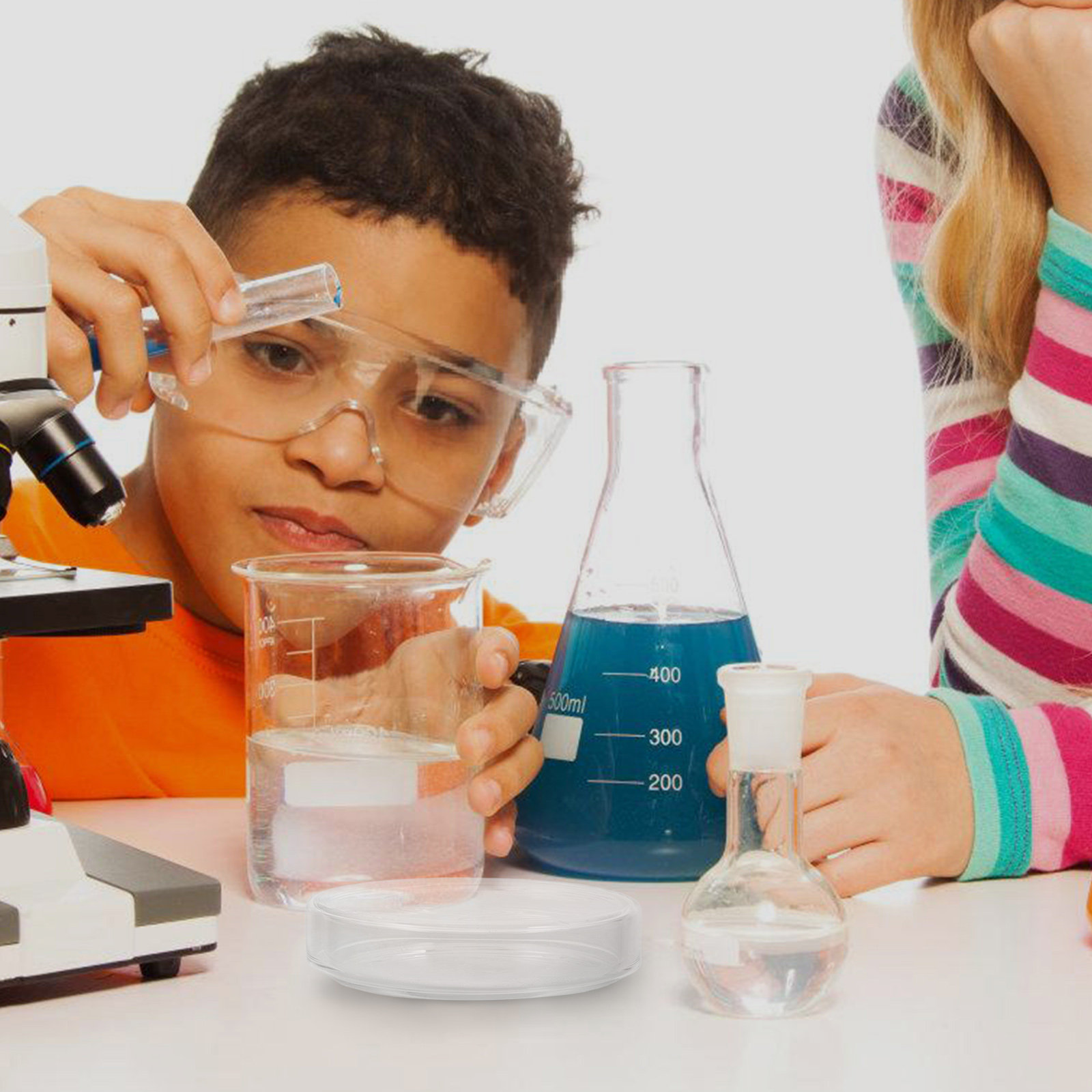 Boîte de Pétri en verre borosi - Agar Tissue Culture avis et prix