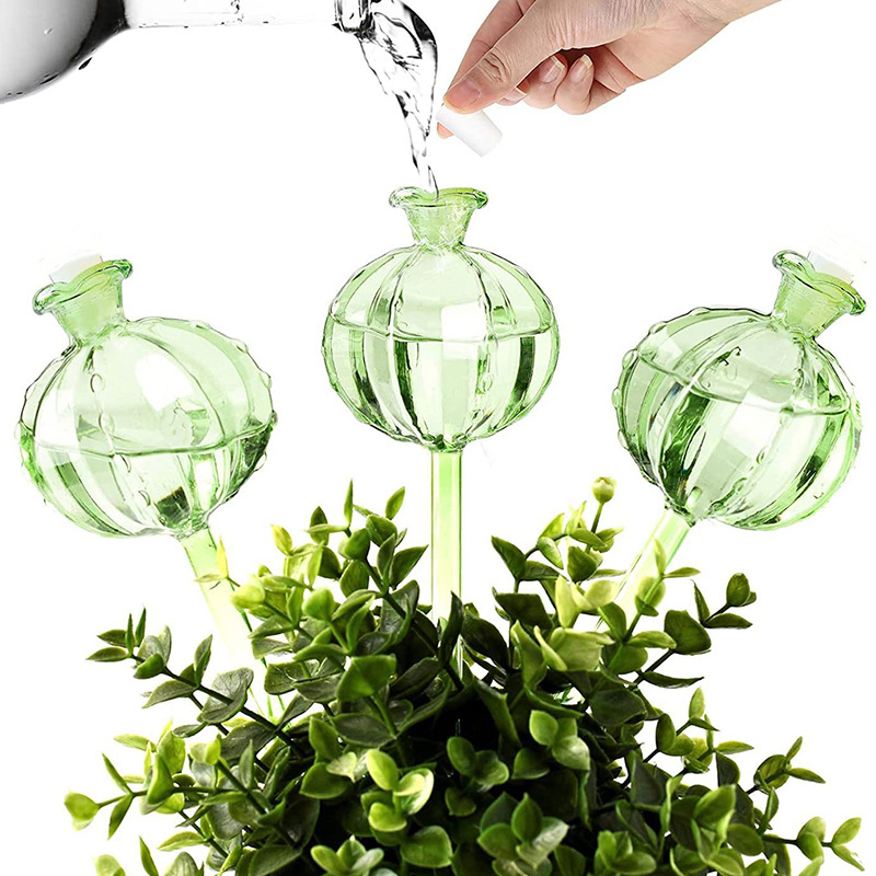 Bulbes d'arrosage automatique  - Self Watering Insert avis et prix