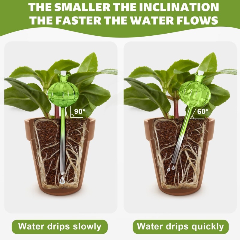 Bulbes d'arrosage automatique  - Self Watering Insert avis et prix
